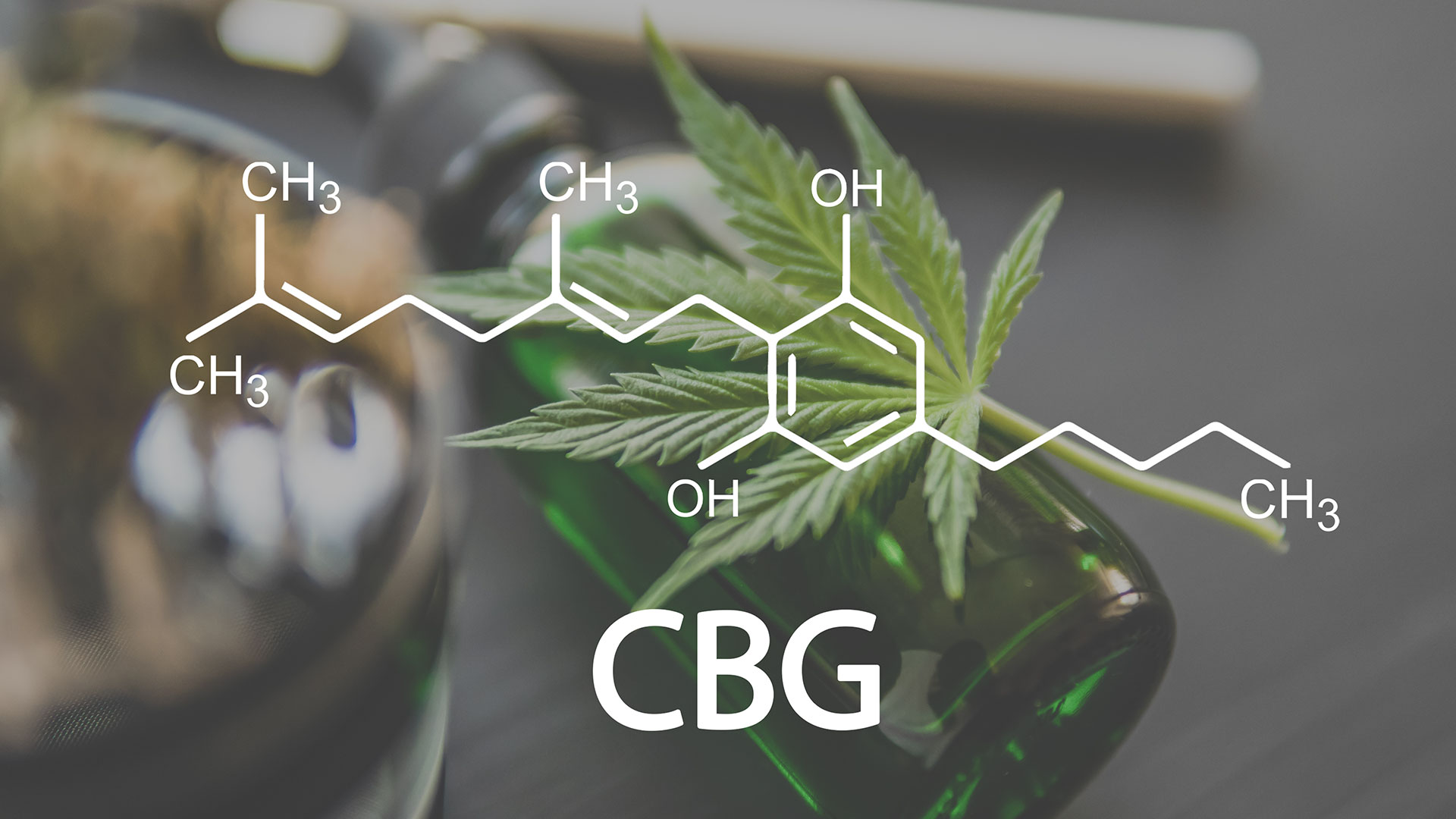 what is cbg vs cbd
